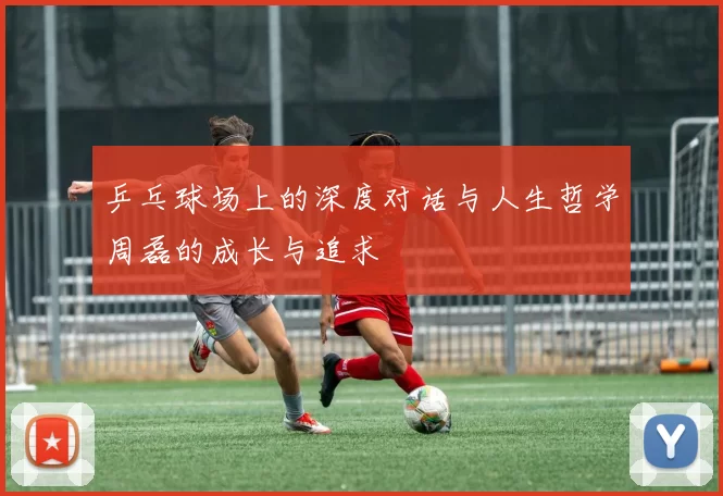 乒乓球场上的深度对话与人生哲学周磊的成长与追求