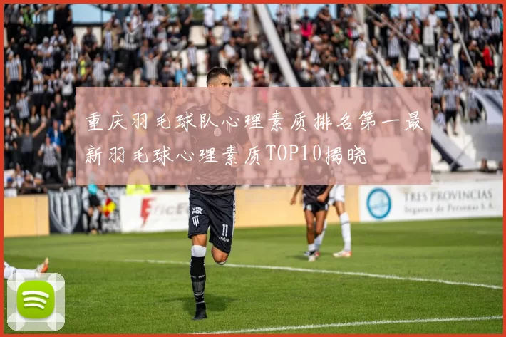 重庆羽毛球队心理素质排名第一最新羽毛球心理素质TOP10揭晓