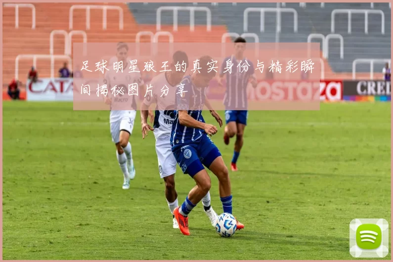 足球明星狼王的真实身份与精彩瞬间揭秘图片分享