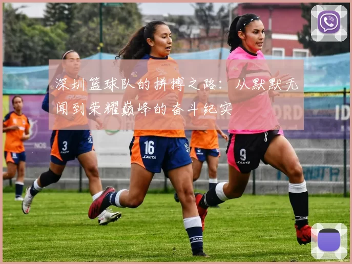 深圳篮球队的拼搏之路：从默默无闻到荣耀巅峰的奋斗纪实