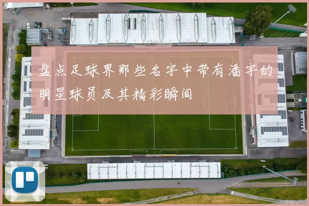 盘点足球界那些名字中带有潘字的明星球员及其精彩瞬间