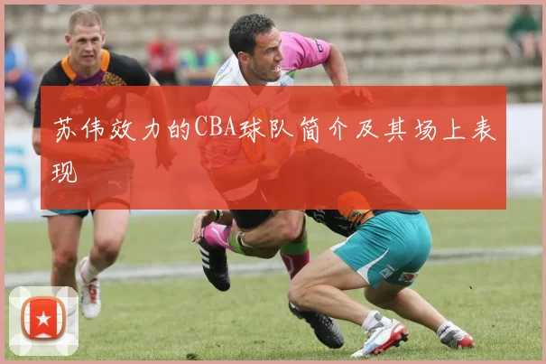 苏伟效力的CBA球队简介及其场上表现