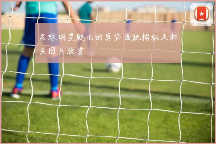 足球明星腿毛的真实面貌揭秘及相关图片欣赏