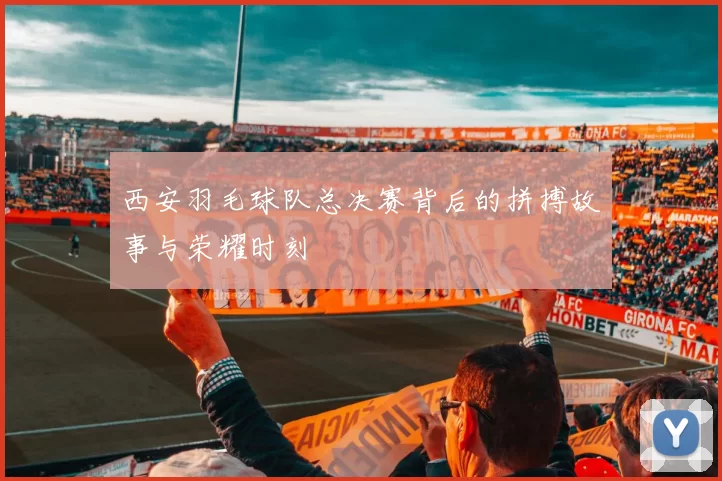 西安羽毛球队总决赛背后的拼搏故事与荣耀时刻