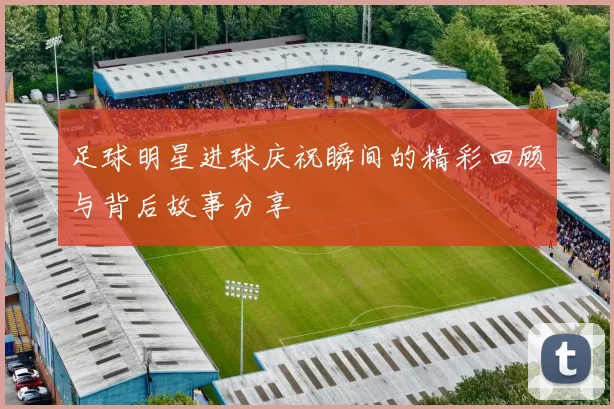 足球明星进球庆祝瞬间的精彩回顾与背后故事分享