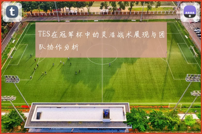 TES在冠军杯中的灵活战术展现与团队协作分析