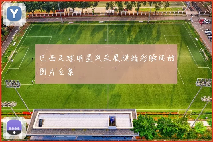 巴西足球明星风采展现精彩瞬间的图片合集