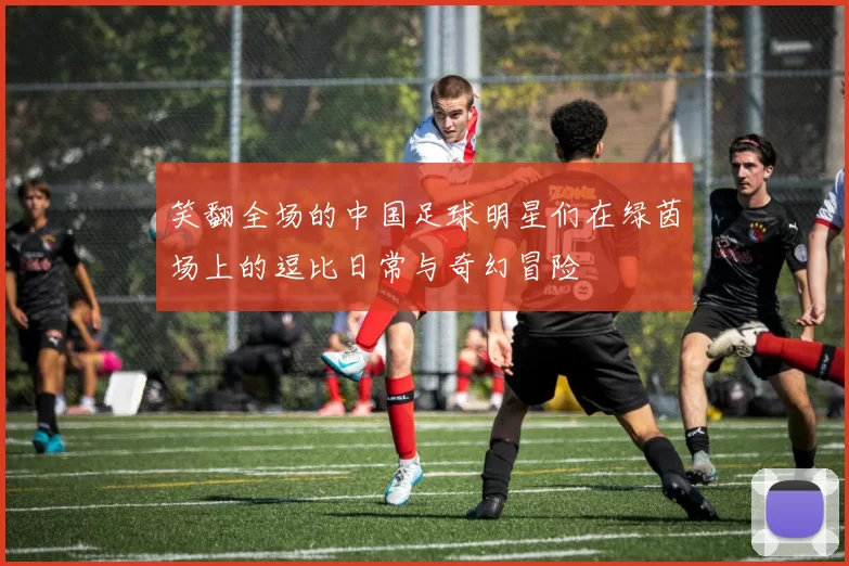 笑翻全场的中国足球明星们在绿茵场上的逗比日常与奇幻冒险