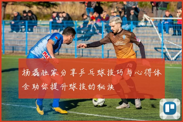 杨磊独家分享乒乓球技巧与心得体会助你提升球技的秘诀