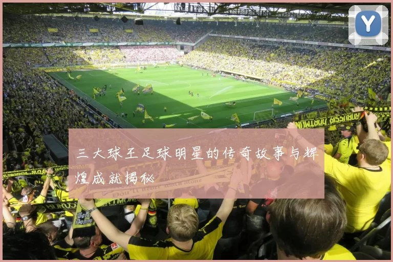 三大球王足球明星的传奇故事与辉煌成就揭秘