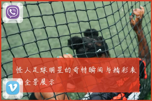 怪人足球明星的奇特瞬间与精彩表现全景展示