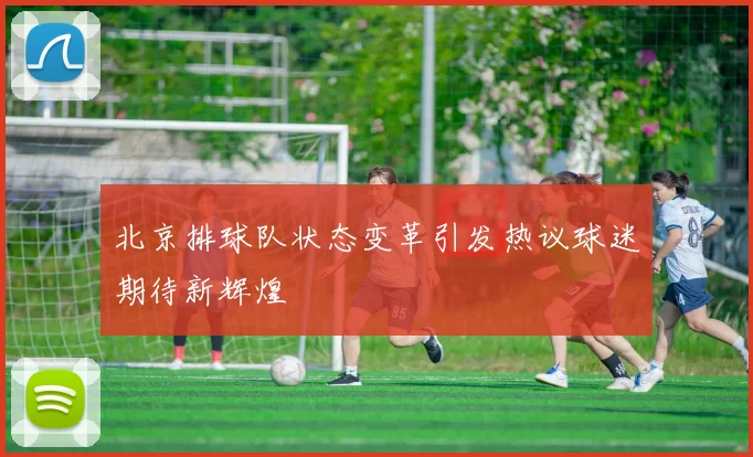 北京排球队状态变革引发热议球迷期待新辉煌