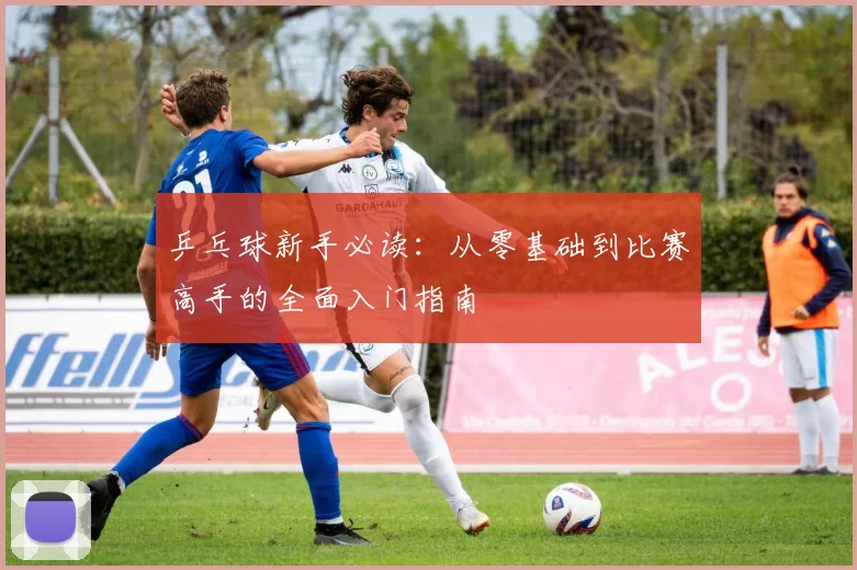 乒乓球新手必读：从零基础到比赛高手的全面入门指南