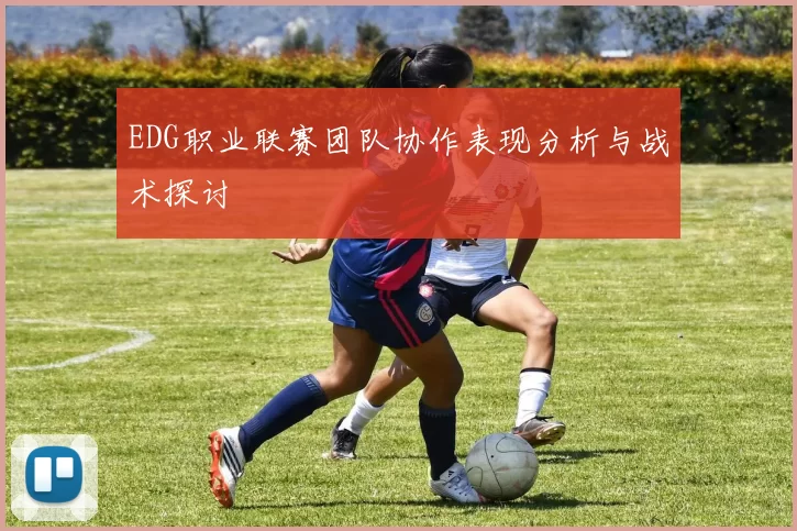 EDG职业联赛团队协作表现分析与战术探讨