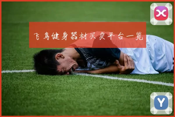 飞鸟健身器材买卖平台一览
