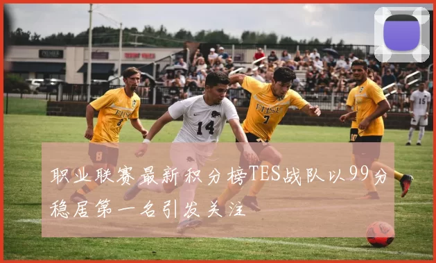 职业联赛最新积分榜TES战队以99分稳居第一名引发关注