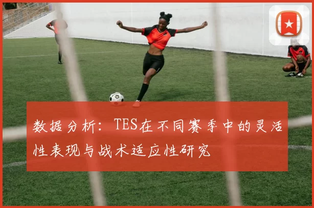 数据分析：TES在不同赛季中的灵活性表现与战术适应性研究