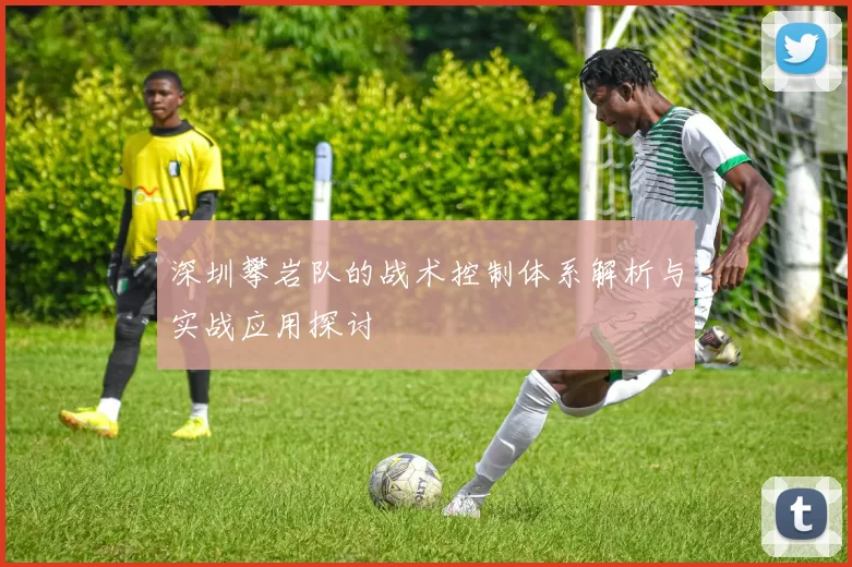 深圳攀岩队的战术控制体系解析与实战应用探讨