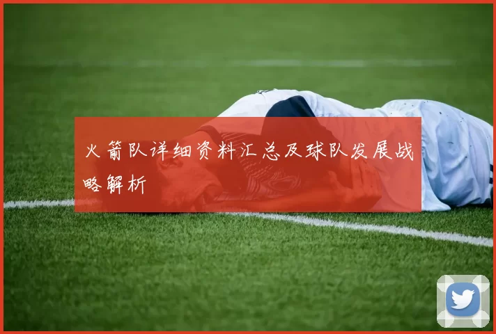 火箭队详细资料汇总及球队发展战略解析