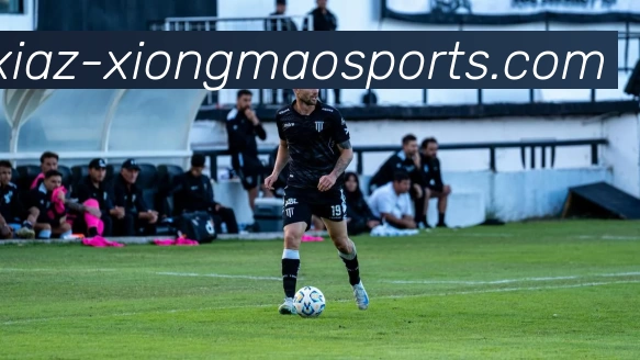 熊猫体育平台生态图